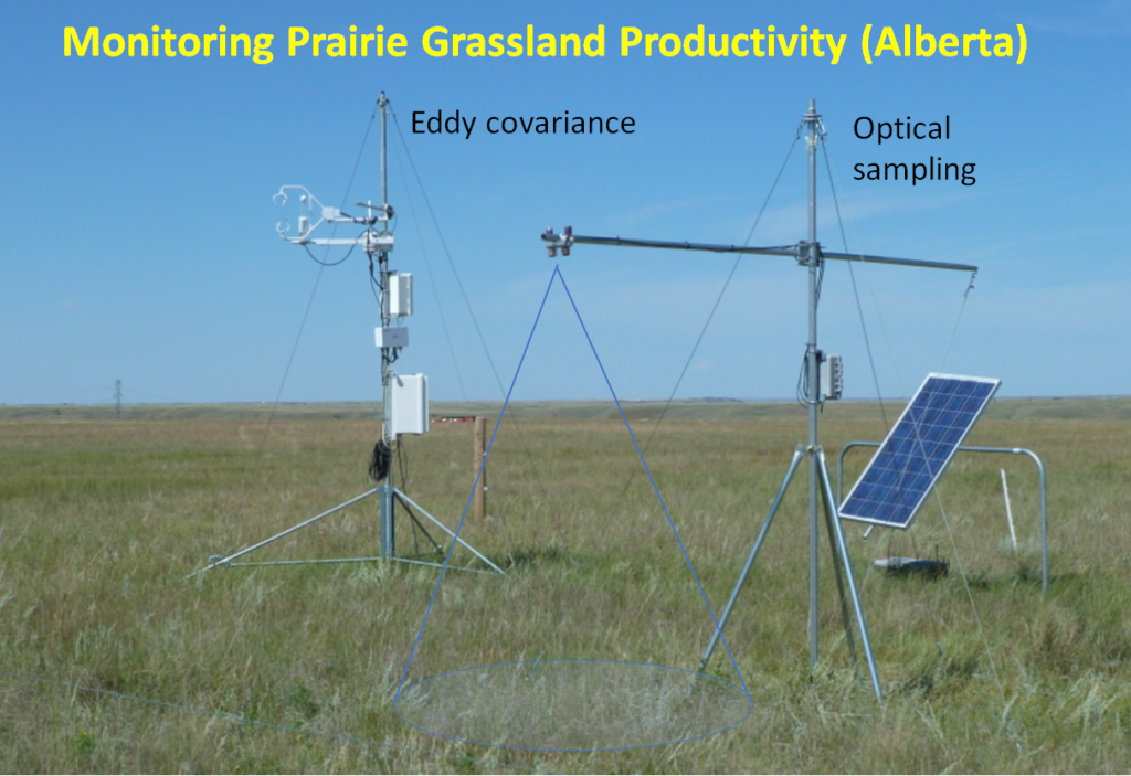 Monitoring Prairie Grassland Productivity