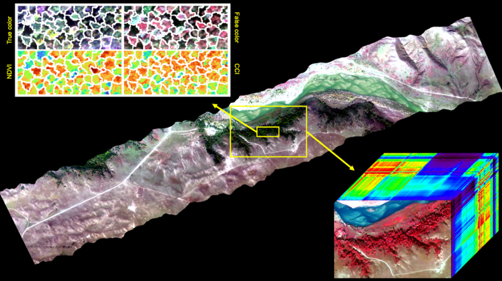 True-color image from an aircraft flight line over Niobrara ForestGEO plot (yellow box), October 11, 2021. The image cube shows a NIR-enhanced rendition, highlighting the forest vegetation in red, with prairie in brown and Niobrara River in blue. The Z-dimension shows a full spectrum obtained for each pixel, with colors illustrating spectral differences between landscape features and tree canopies. The upper left image shows a forest detail, with tree canopies outlined in white, and four different renditions of spectral information useful for tree identification and functional assessment. Image processing: Ran Wang